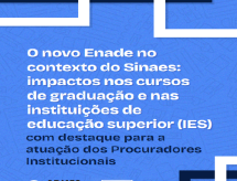 O novo Enade no contexto do Sinaes: impactos nos cursos de graduação e nas Instituições de Educação Superior (IES)